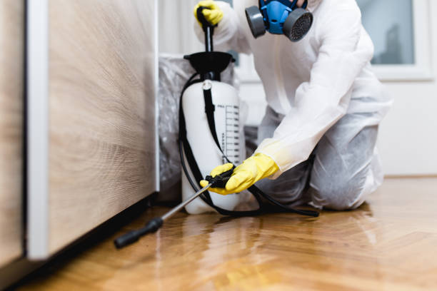 Best Affordable Pest Control Services  in Brooklyn Heights, OH