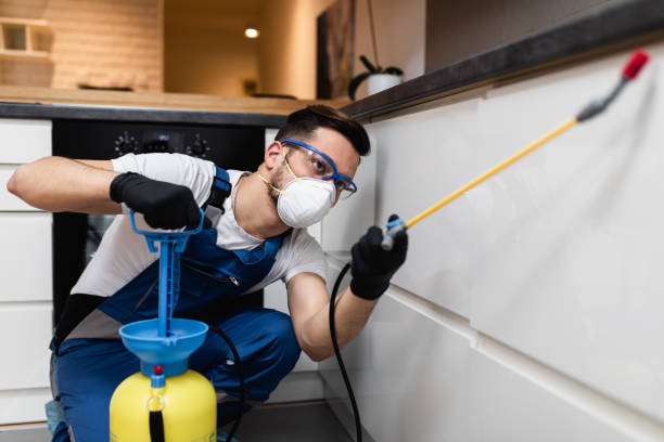 Best Pest Inspection Near Me  in Brooklyn Heights, OH