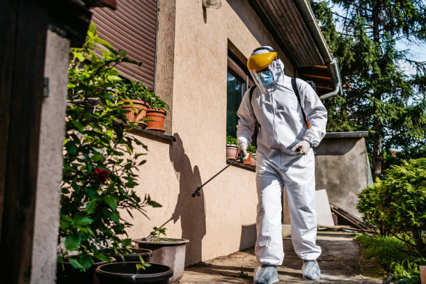 Best Pest Prevention Services  in Brooklyn Heights, OH