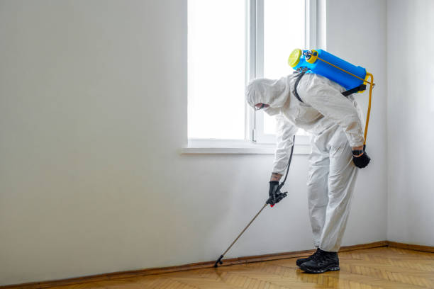Best Local Pest Control Services  in Brooklyn Heights, OH