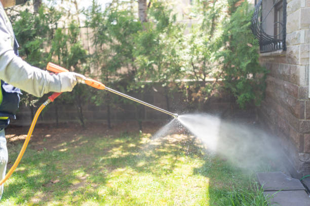 Professional Pest Control in Brooklyn Heights, OH