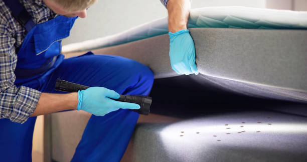 Flea Control Services in Brooklyn Heights, OH