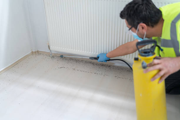 Best Exterminator Services  in Brooklyn Heights, OH
