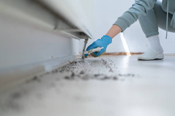 Brooklyn Heights, OH Pest Control Company