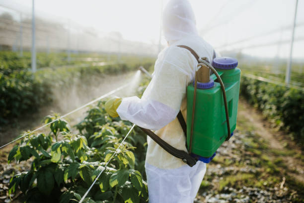 Best Local Pest Control Services  in Brooklyn Heights, OH
